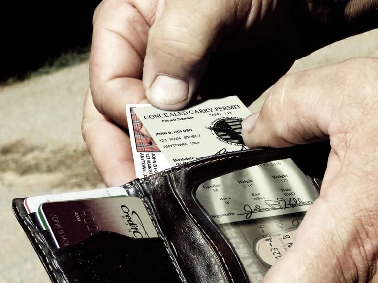 Top 5 Best Concealed Carry Handguns best concealed carry weapons