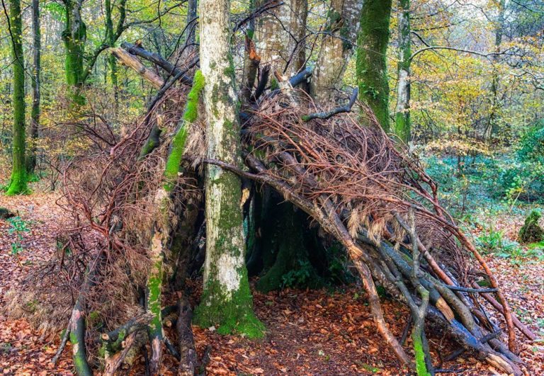 How to Build a Basic Survival Shelter how to build a basic survival shelter