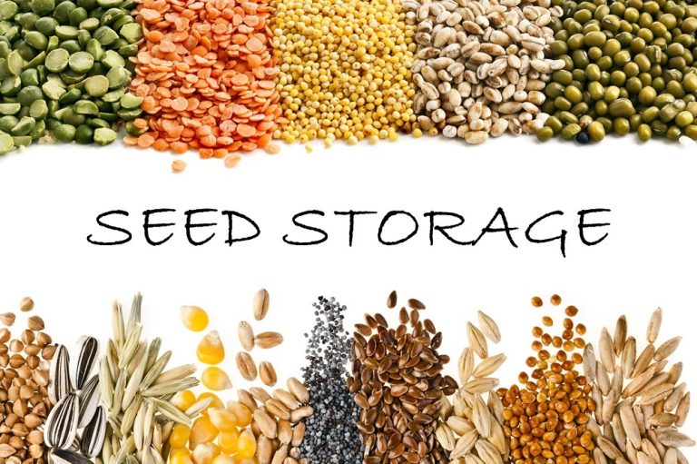 A Seed Repository in Miniature: How to Have a Svalbard Vault of Your Own seed repository